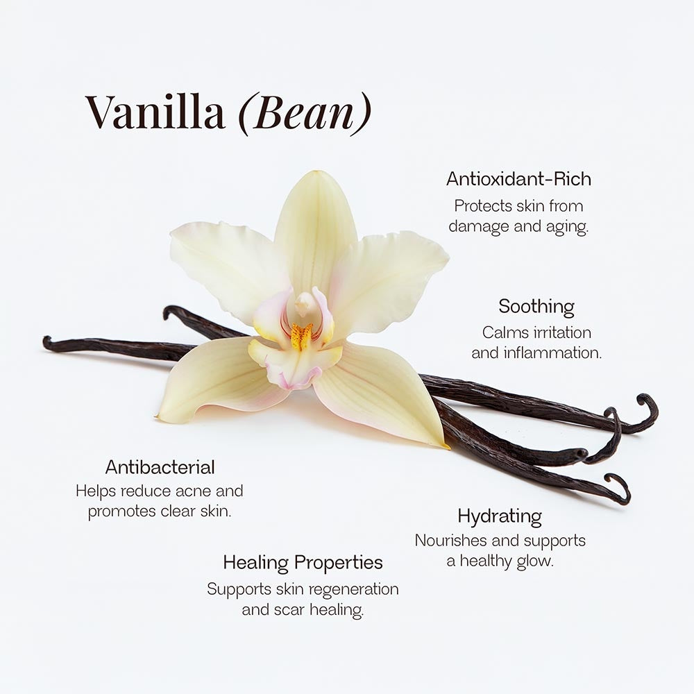 Blush Boss™ Whipped Grass-Fed Tallow Balm with Vanilla Bean