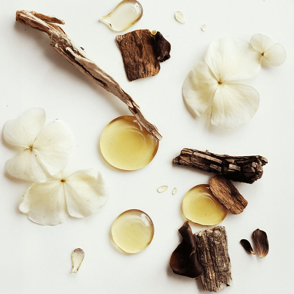 Blush Boss™ Whipped Grass-Fed Tallow Balm with Vanilla Bean