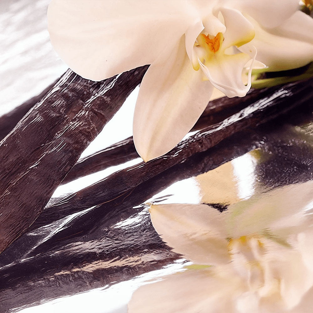 Blush Boss™ Whipped Grass-Fed Tallow Balm with Vanilla Bean