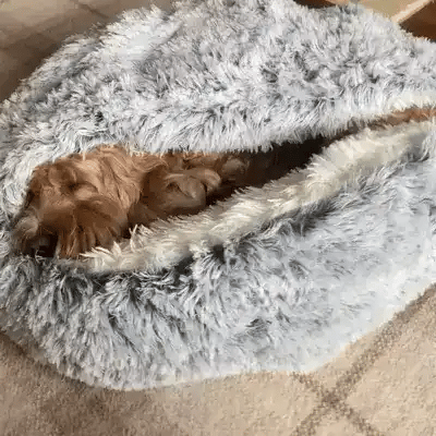 The CozyNook™ Fluffy Pet Bed