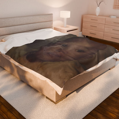 Velveteen Plush Blanket