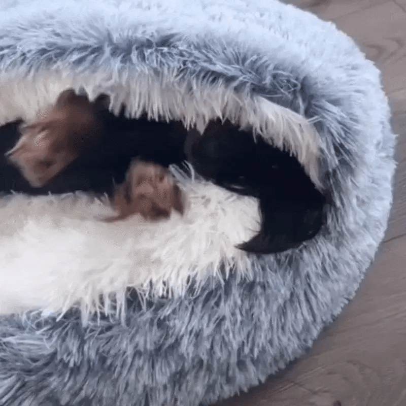 The CozyNook™ Fluffy Pet Bed