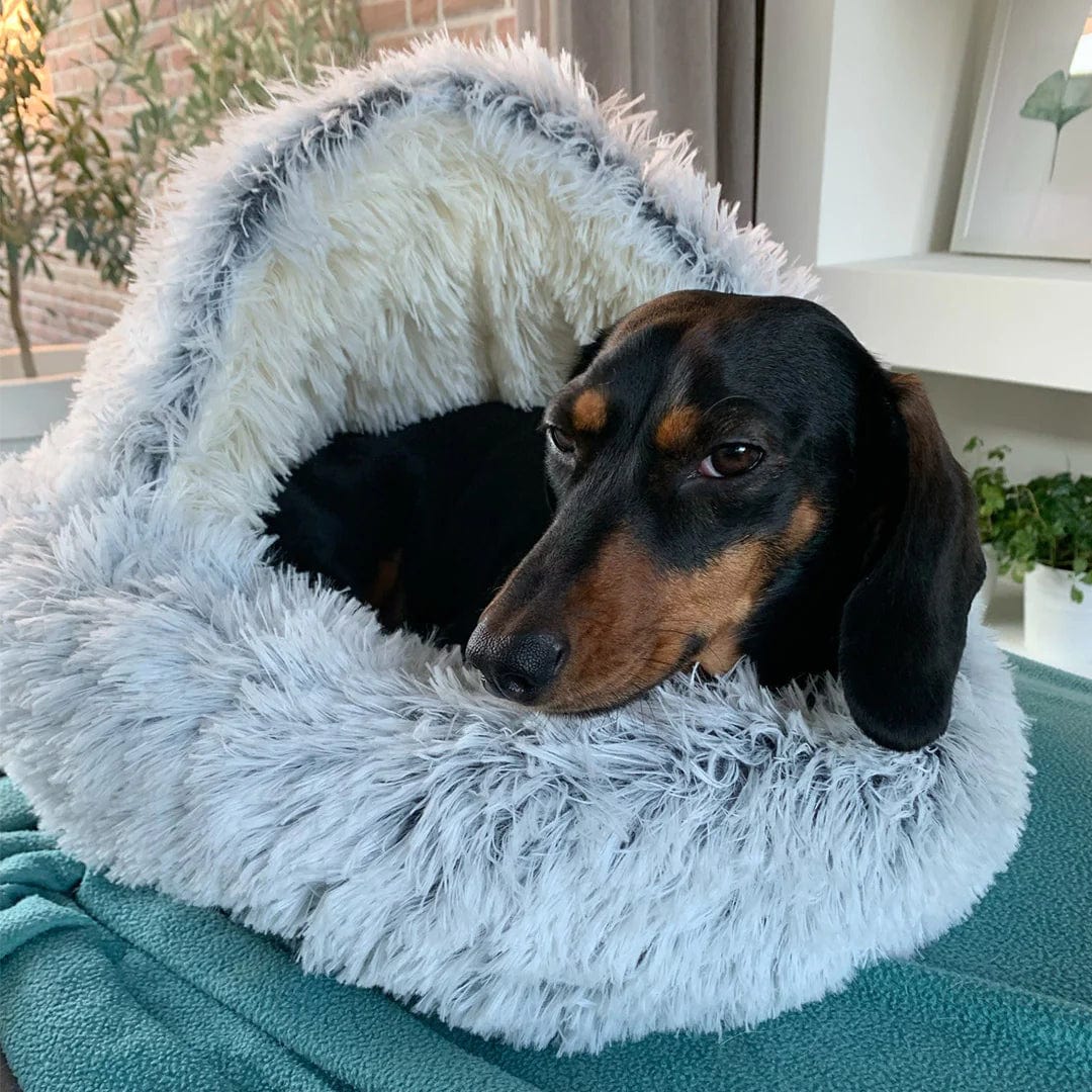 The CozyNook™ Fluffy Pet Bed