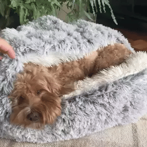 The CozyNook™ Fluffy Pet Bed